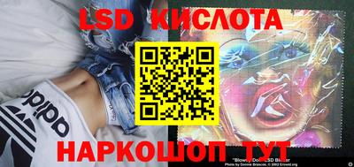 таблы Новозыбков