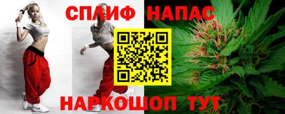 сатива Новодвинск