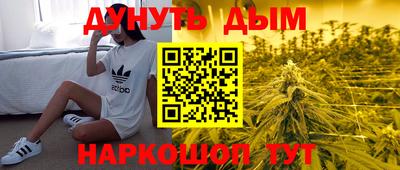 таблы Новозыбков