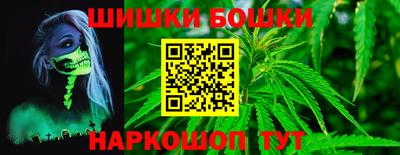 сатива Новодвинск