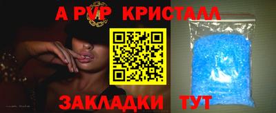 таблы Новозыбков