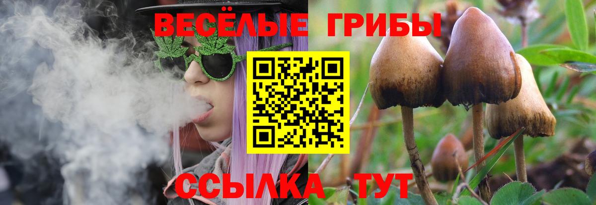 Галлюциногенные грибы ЛСД  Галлюциногенные грибы прущие грибы  Вход с VPN  Первоуральск 
